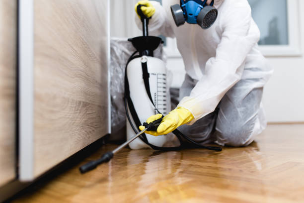 Best Bed Bug Extermination  in San Lorenzo, CA