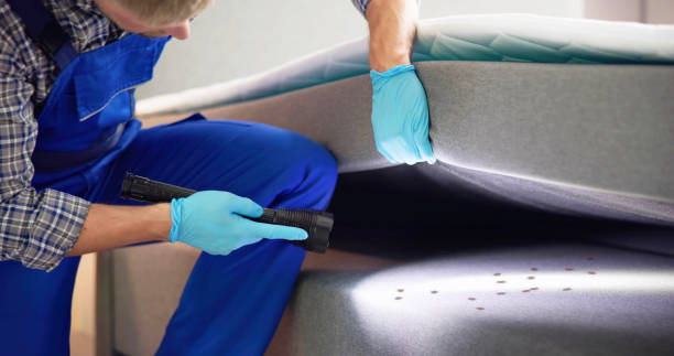 Best Commercial Pest Control Services  in San Lorenzo, CA